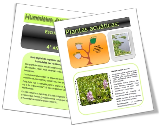 ficha plantas