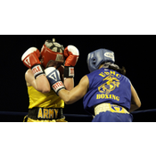 BOXEO