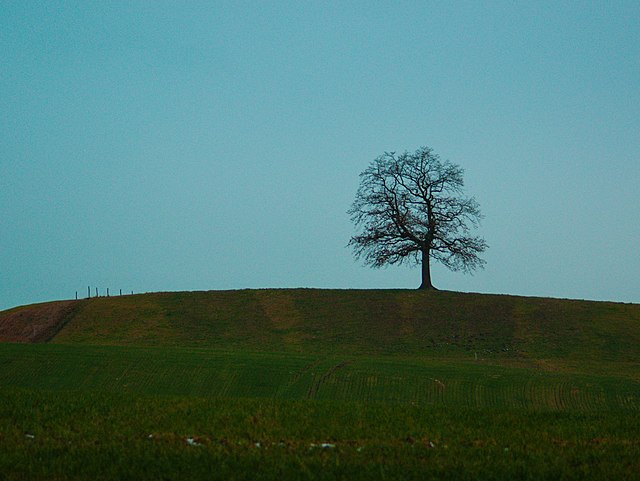 ÁRBOL