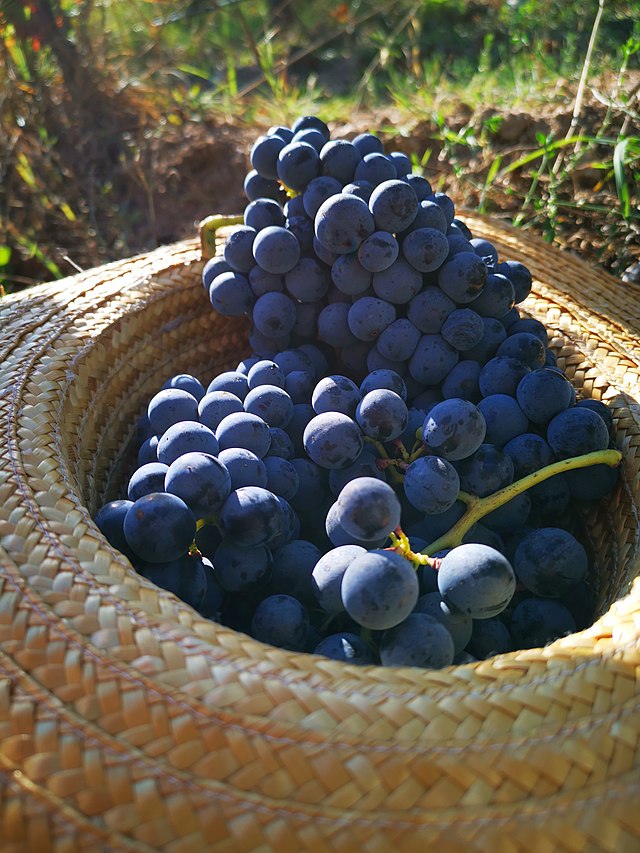 UVAS