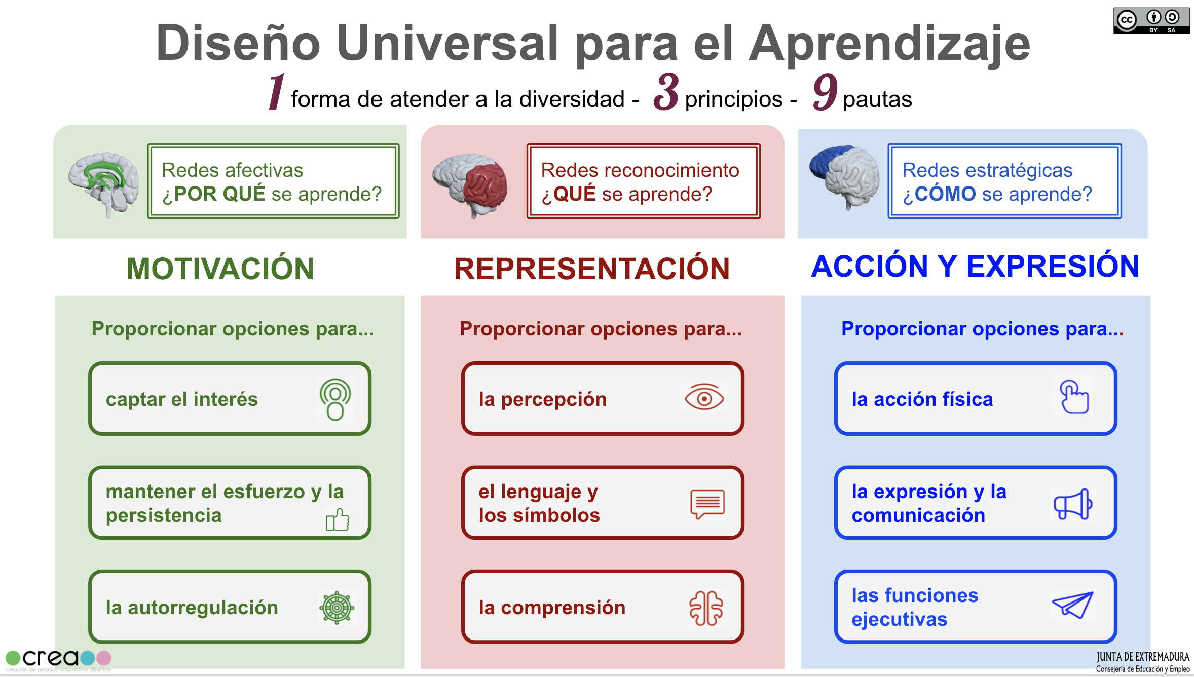 Se presentan los Principios del DUA 