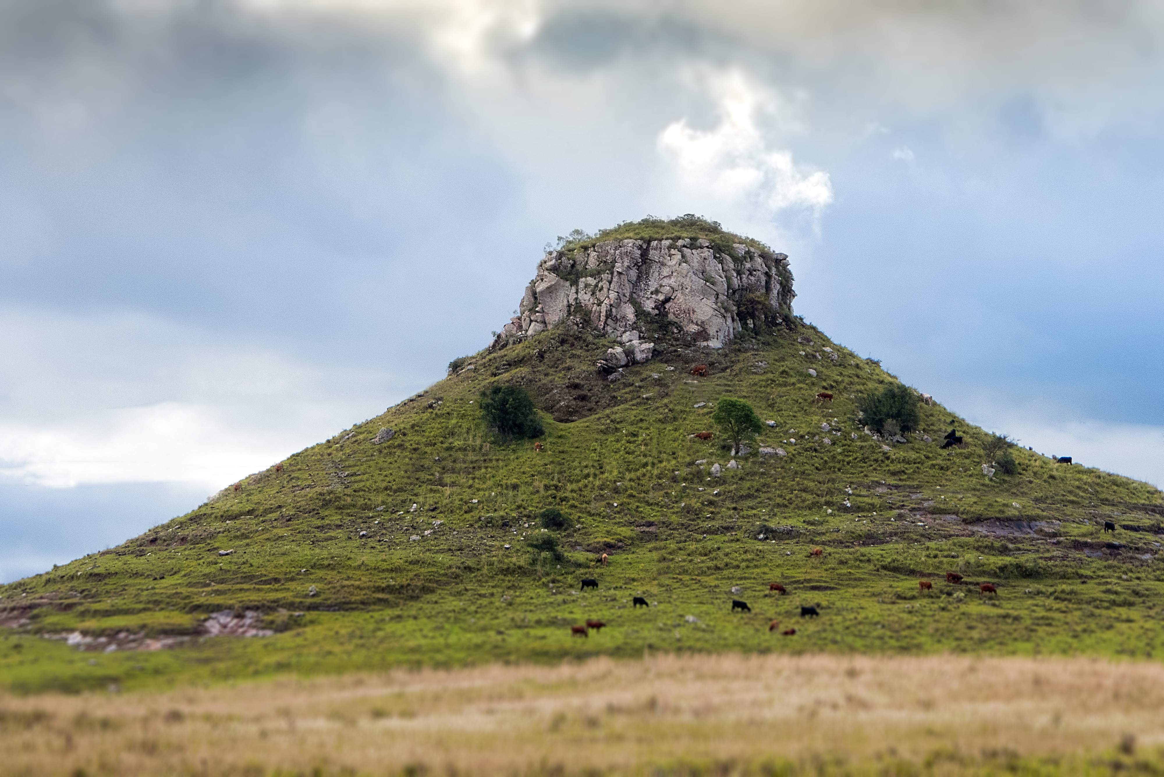 Cerro Batovi. Tacuarembo