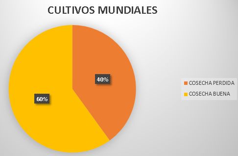 gráfica sobre cultivo perdido