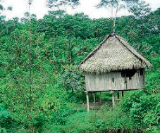 Selva Ecuatoriana