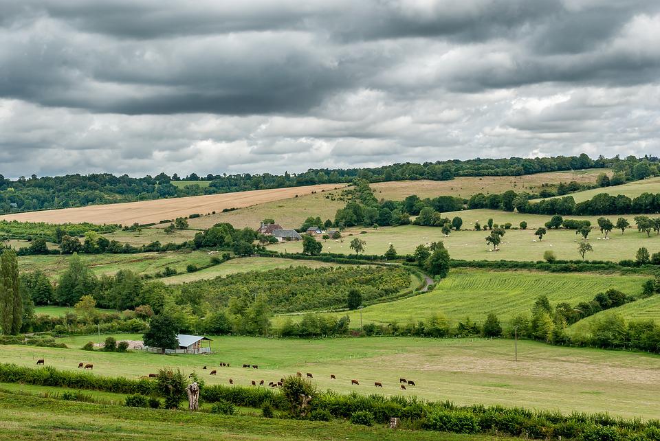 Paisaje