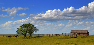 campo sembrado con vivienda