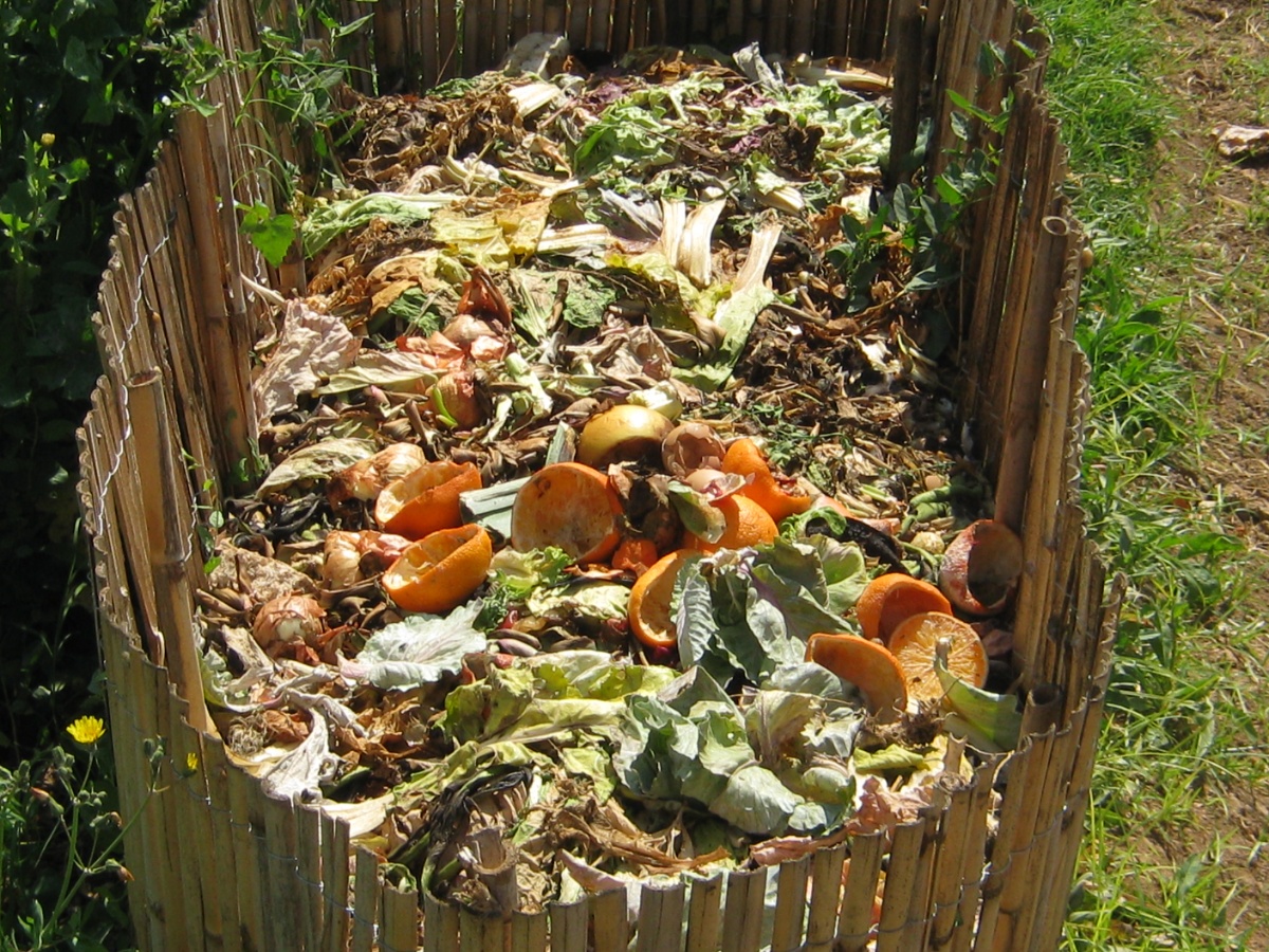 Compost