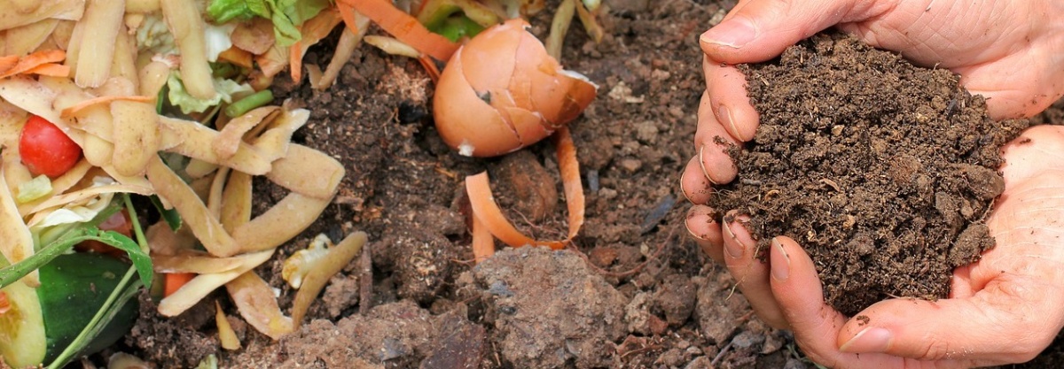 Imagen de Compost, Ecología y Residuos.