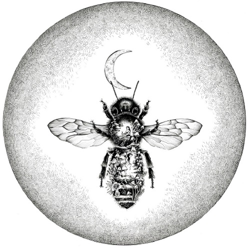 Abeja