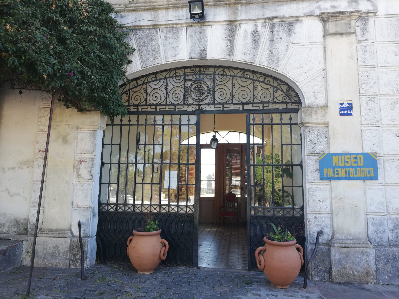 Museo Paleontológico Municipal Bernardo Berro