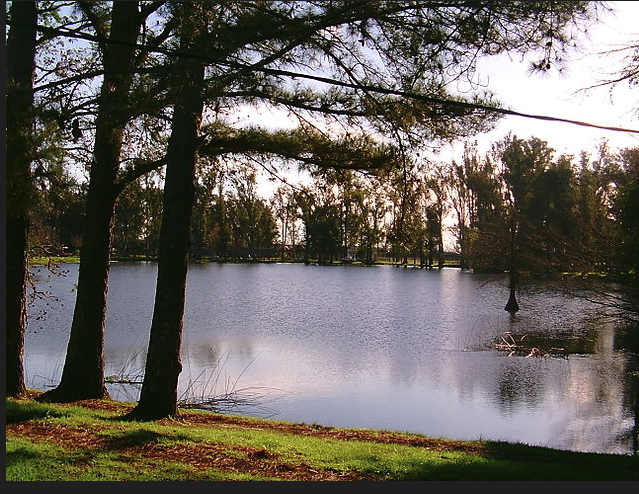 FOTO DE LAGUNA DE LAS LAVANDERAS