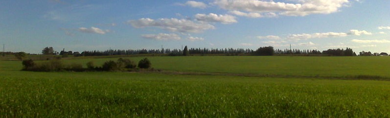 Pradera uruguaya. 