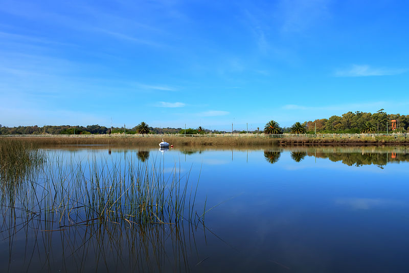 Humedal de Santa Lucía - Canelones, Uruguay