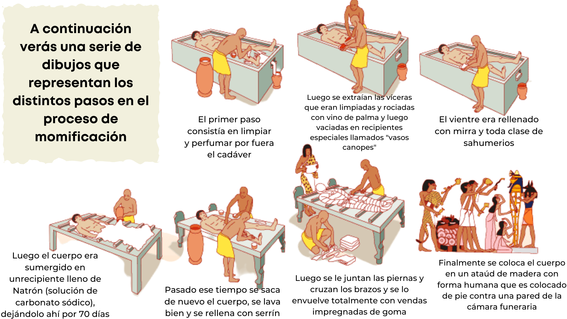 diagrama con los pasos de la momificación