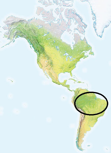 Norte y noreste de Sudamérica