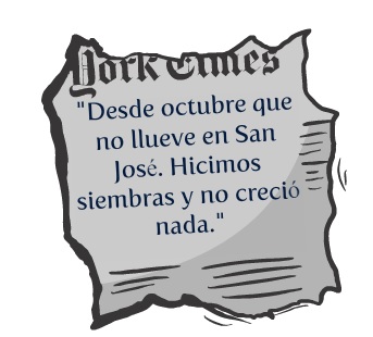 prensa escrita