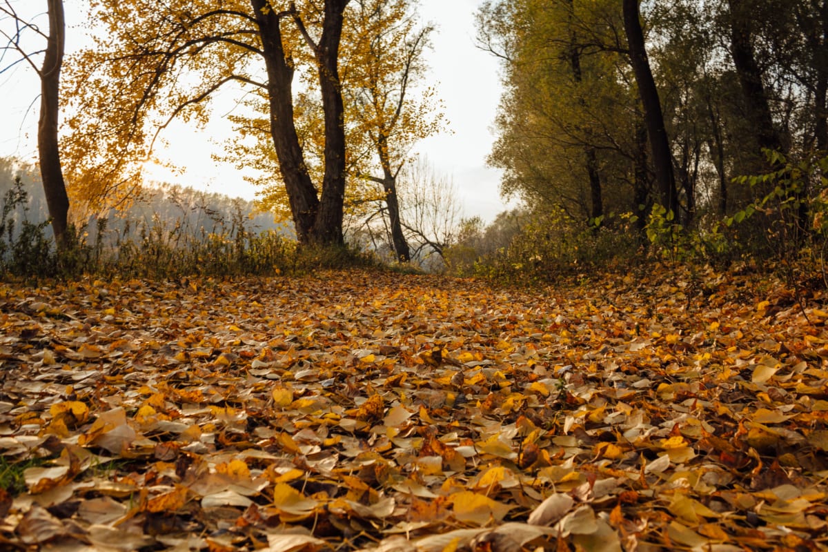 Otoño