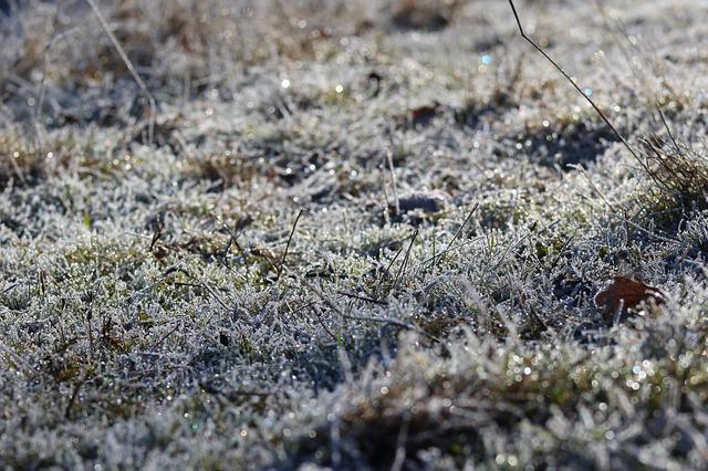 invierno. Campo con helada