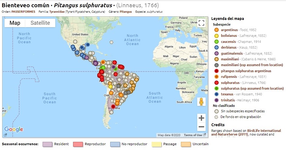 mapa benteveo