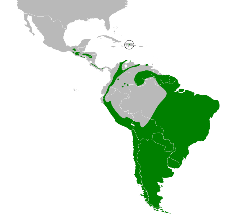 mapa del chingolo