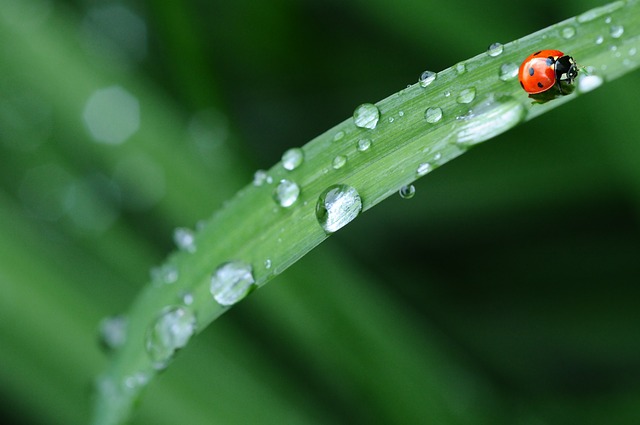 gota de agua