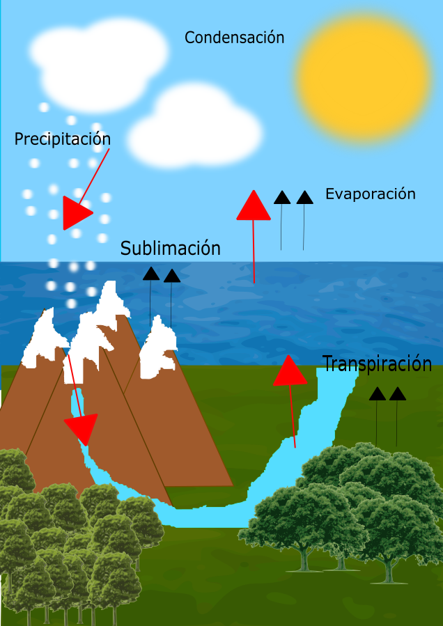 ciclo hidrologico