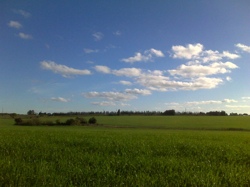 Paisaje uruguay