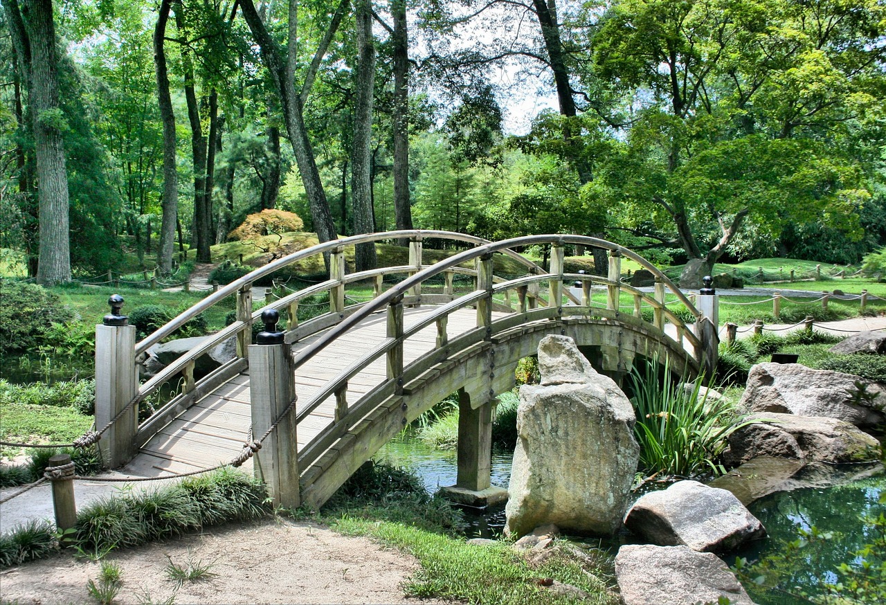 Puente en un bosque 