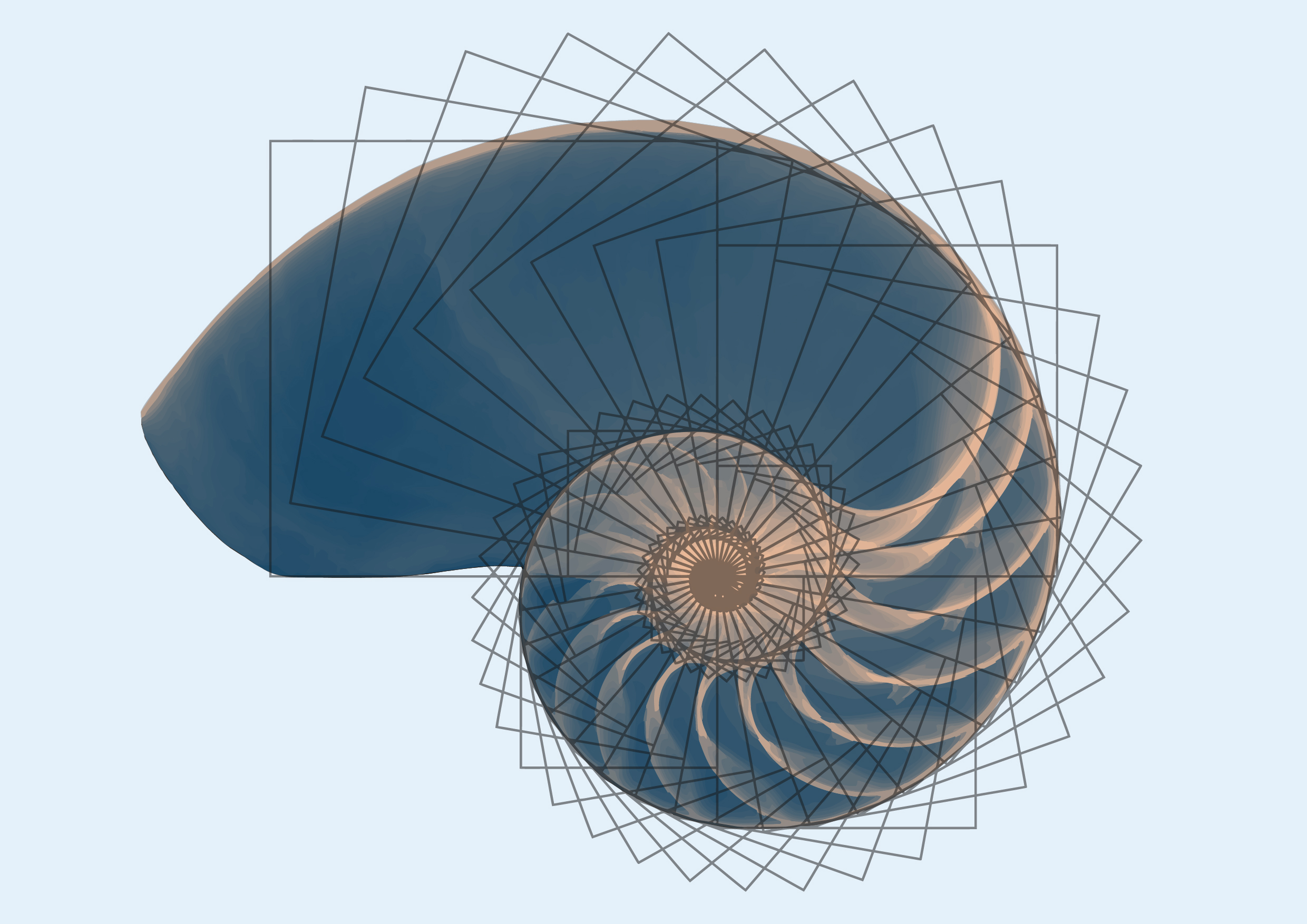 proporción aurea