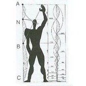 Le Corbusier en 1949 diseñó el Modulor, que establece un sistema universal de medidas y proporciones para tomar a partir del ser humano.