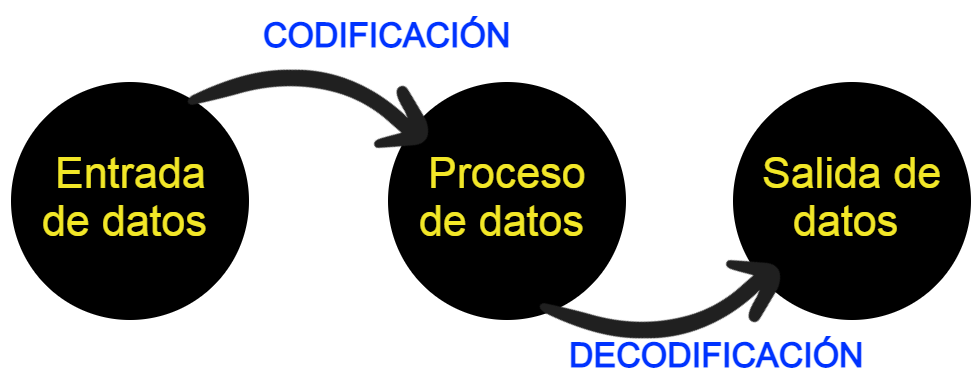 Entrada de datos - Codificación - Proceso de datos - Decodificación - Salida de datos