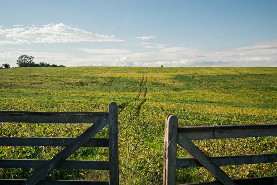 Vista de campo desde portera (cerco) hacia el horizonte en el cierlo