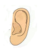 oreja