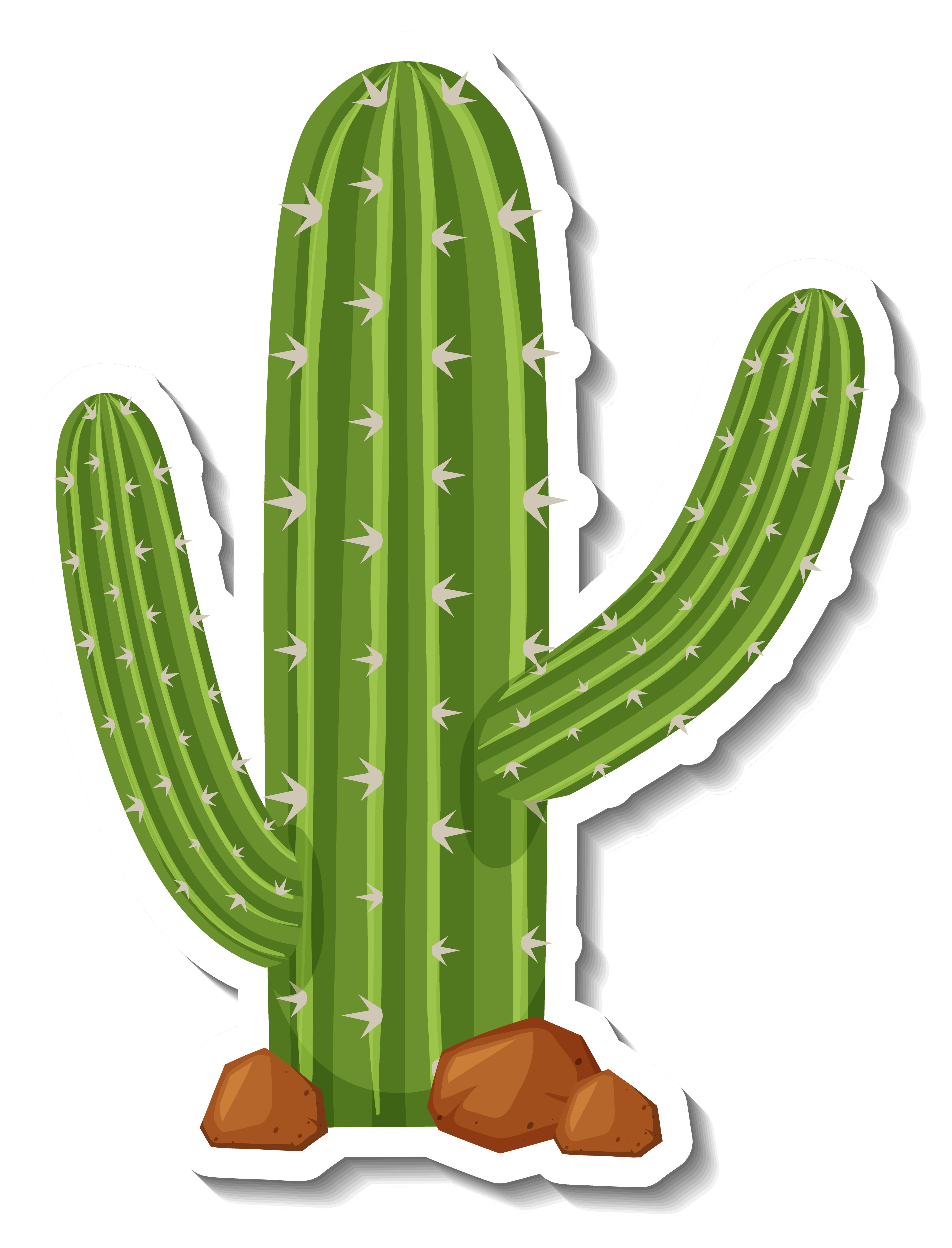 Dibujo de un cactus