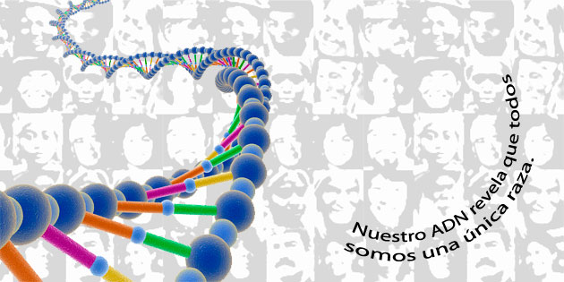 Nuestro ADN revela que todos somos una única raza.